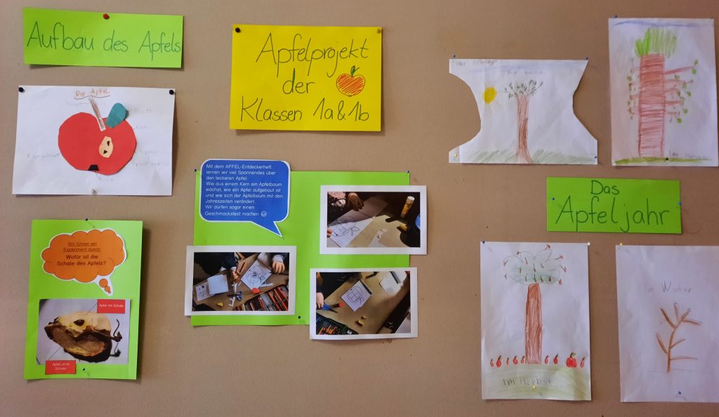 Apfelprojekt, Grundschule, Wertheim, Klasse 1